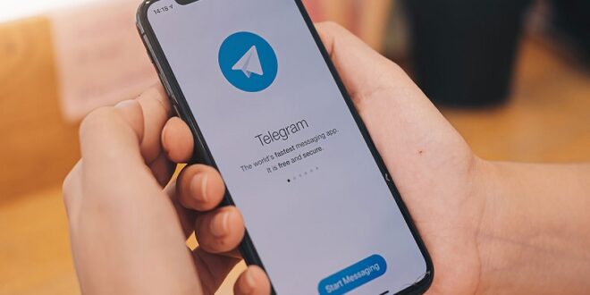 Cara Download Video di Telegram